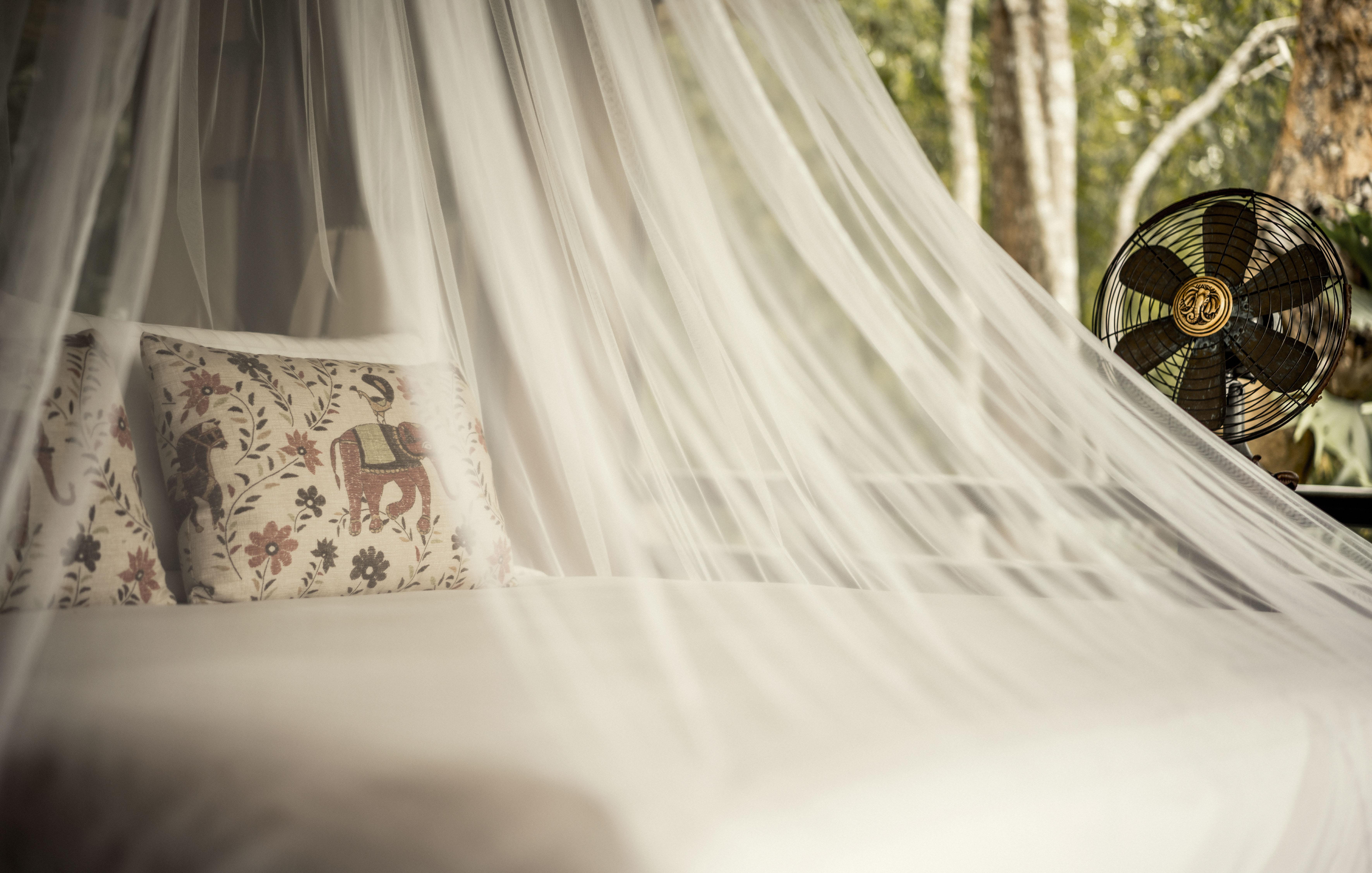 Four Seasons Tented Camp Золотой Треугольник Экстерьер фото