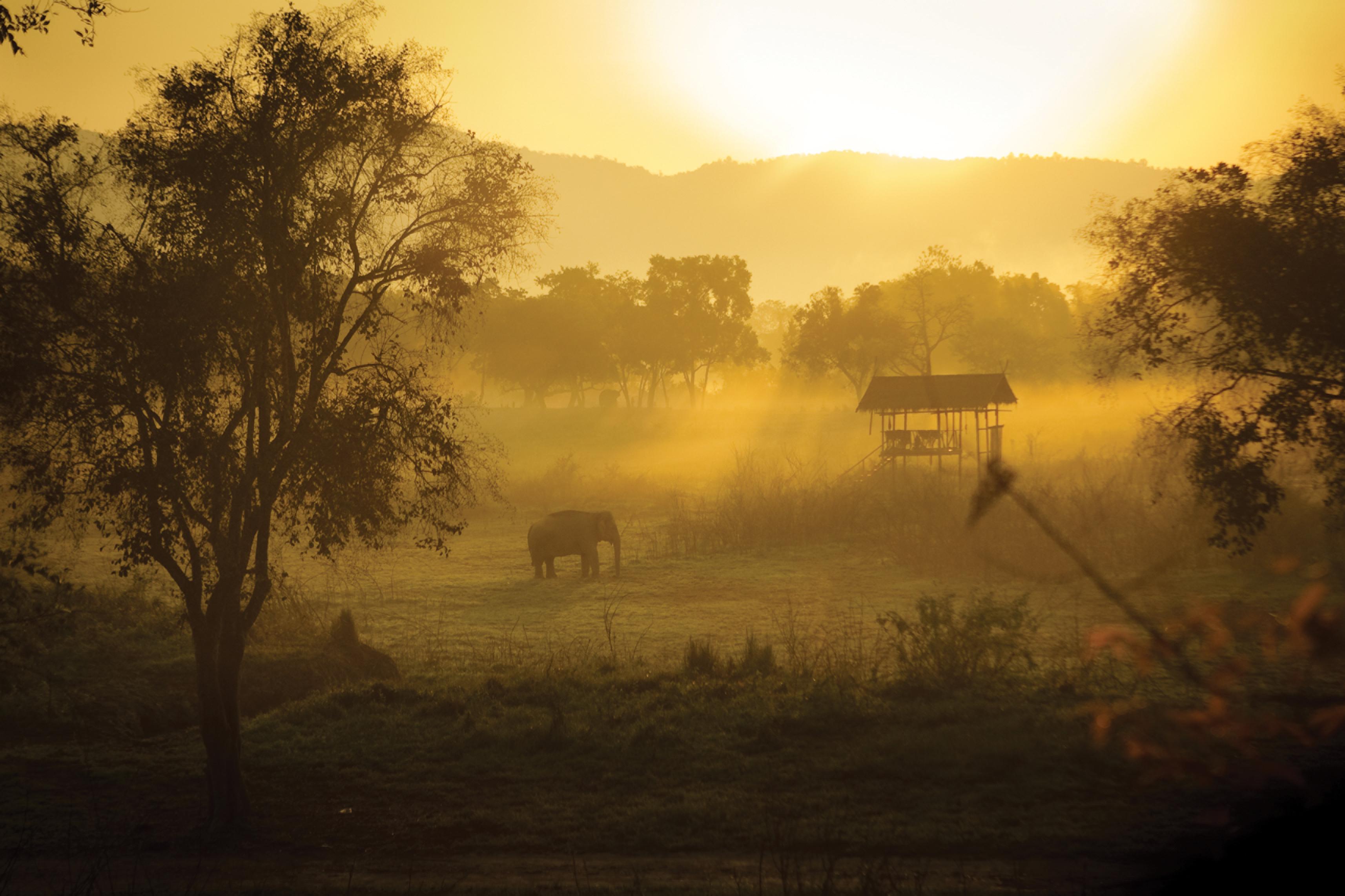 Four Seasons Tented Camp Золотой Треугольник Экстерьер фото