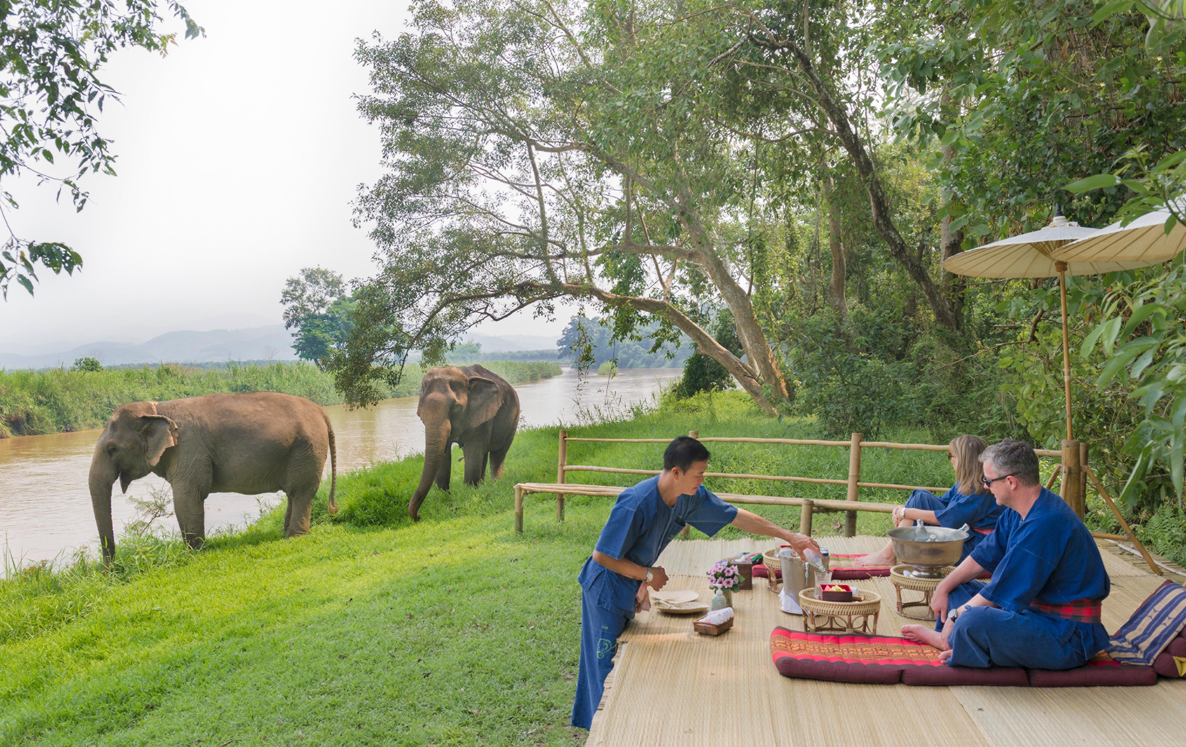 Four Seasons Tented Camp Золотой Треугольник Экстерьер фото